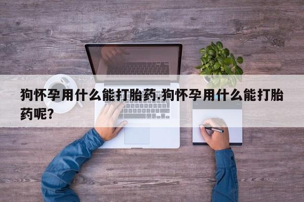 米非米索在线购微信狗怀孕用什么能打胎药.狗怀孕用什么能打胎药呢？