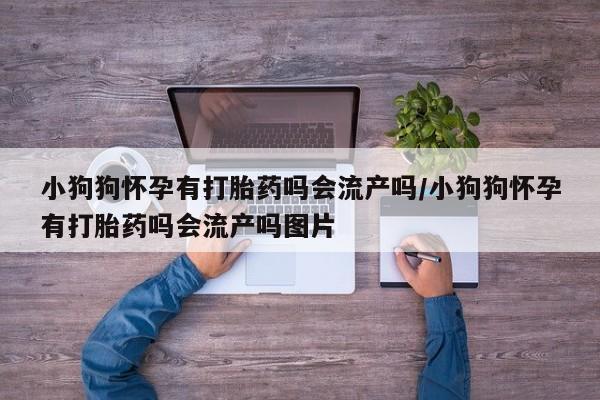 米非米索在线购微信小狗狗怀孕有打胎药吗会流产吗/小狗狗怀孕有打胎药吗会流产吗图片