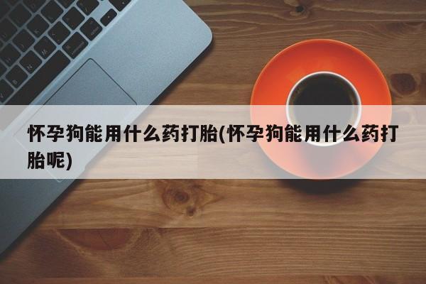米非米索在线购微信怀孕狗能用什么药打胎(怀孕狗能用什么药打胎呢)