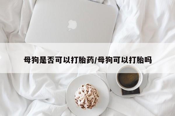 米非米索在线购微信母狗是否可以打胎药/母狗可以打胎吗